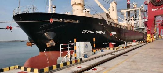 跑出加速度！南通呂四起步港區開港8個月迎來第50艘外輪