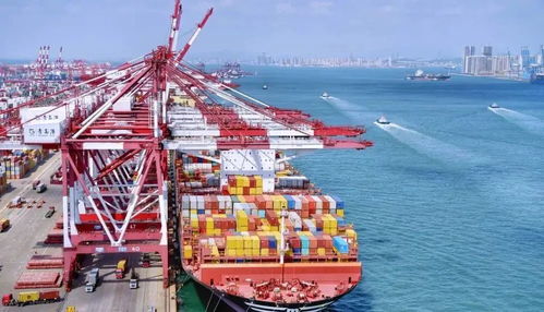 跨過8萬億，山東經濟涌現一張新王牌——港口貨物裝卸搬運活動